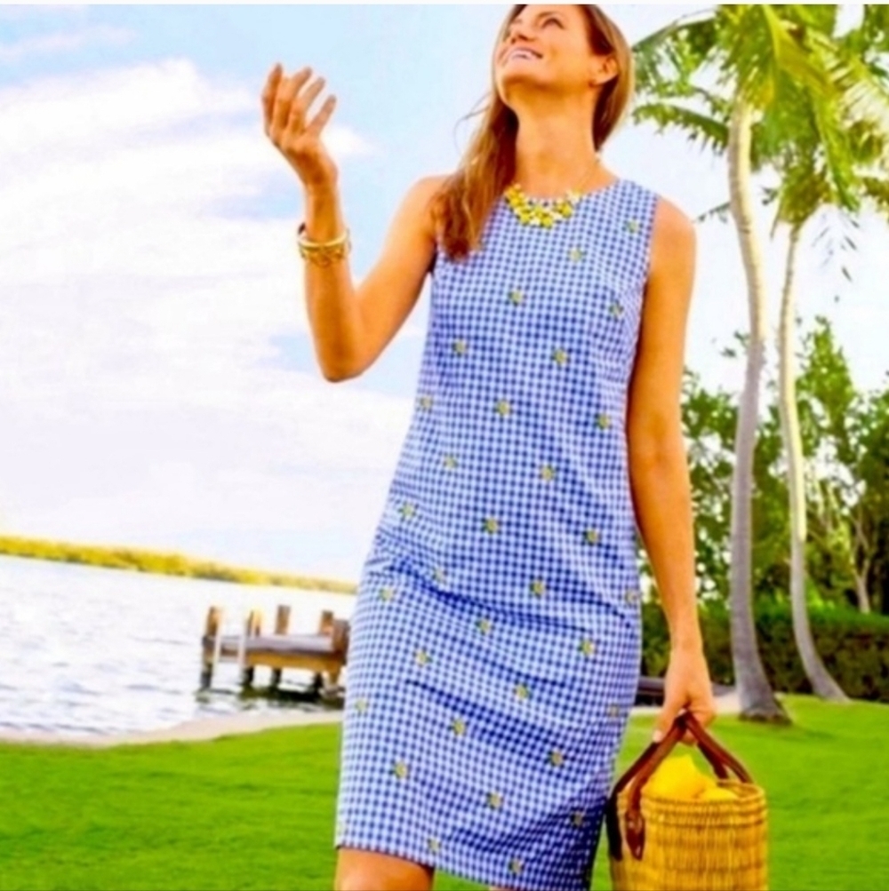 Talbots Dress Size 2 Blue Gingham Lemon Embroidered Print Sleeveless Summer